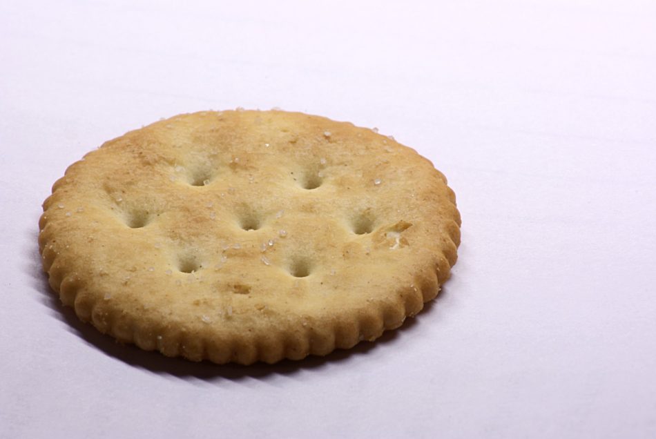 photo of a round salted cracker