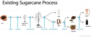 The process required to produce sugar from cane.